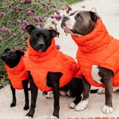 Sale Kentucky Dogwear - Manteau pour chien Pina 160g Orange