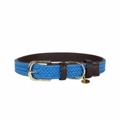 Kentucky Dogwear - Nylon tressé collier de chien clair Bleu Best