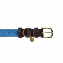 Kentucky Dogwear - Nylon tressé collier de chien clair Bleu Best