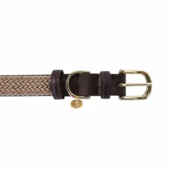 Kentucky Dogwear - Nylon tressé collier de chien Beige Outlet