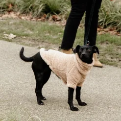 Hot Kentucky Dogwear - Pull pour chien Teddy Fleece 0g Beige