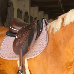 Kentucky Horsewear - Amortisseur pour chevaux Absorb / Noir Sale