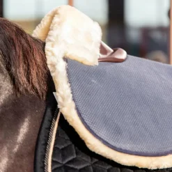 Clearance Kentucky Horsewear - Amortisseur pour chevaux mouton Absorb Marine