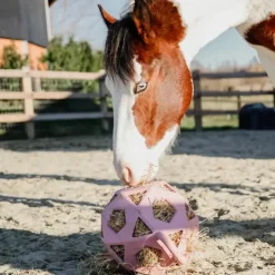 Kentucky Horsewear - Balle de jeu/ foin pour chevaux en caoutchouc vieux Rose Clearance