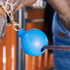 Kentucky Horsewear - Balle de protection d'attache royal Bleu