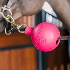Kentucky Horsewear - Balle de protection d'attache Rose Outlet