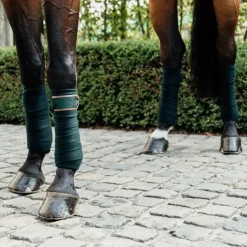 Best Kentucky Horsewear - Bandes de polo (x4) Vert