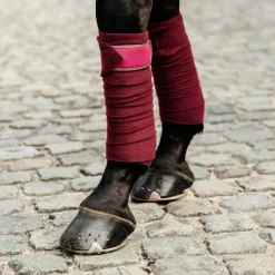 Kentucky Horsewear - Bandes de polo (x4) Bordeaux Clearance