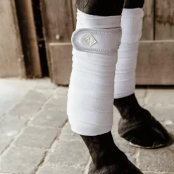 Kentucky Horsewear - Bandes de polo pearls (x4) Blanc Hot
