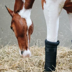 Outlet Kentucky Horsewear - Bandes de repos Repellent (x4) Noir