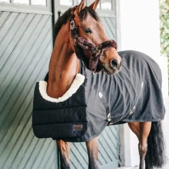 Best Kentucky Horsewear - BIB Protection de poitrail/garrot Noir