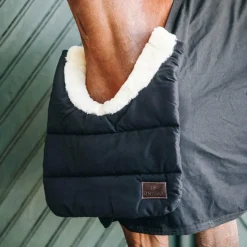 Best Kentucky Horsewear - BIB Protection de poitrail/garrot Noir