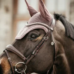 Discount Kentucky Horsewear - Bonnet Wellington velvet parme Marron