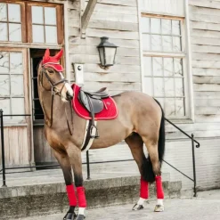 Outlet Kentucky Horsewear - Bonnet pour chevaux anti-bruits Wellington Velvet Rouge