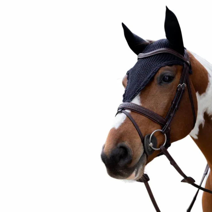 Kentucky Horsewear - Bonnet anti-mouches long Marine Hot