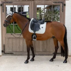 Discount Kentucky Horsewear - Bonnet pour chevaux Wellington Velvet Printing pied de poule / blanc Gris