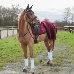 Clearance Kentucky Horsewear - Bonnet Wellington Noir