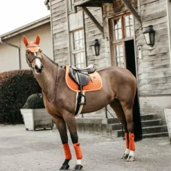 Online Kentucky Horsewear - Bonnet pour chevaux anti-bruits Wellington Velvet Orange
