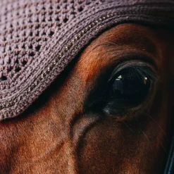 Kentucky Horsewear - Bonnet Wellington Sparkling Anti-bruits Marron Outlet