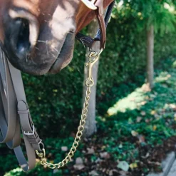 Kentucky Horsewear - Chaine d'étalon Or