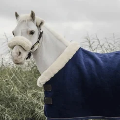 Hot Kentucky Horsewear - Chemise séchante Show Heavy Mini Marine