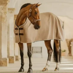 Kentucky Horsewear - Chemise séchante Show Vegan Wool Beige New