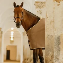 Kentucky Horsewear - Chemise séchante Show Vegan Wool Beige New