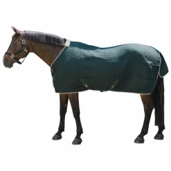 Kentucky Horsewear - Chemise séchante Protherm foncé Vert New