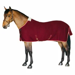 Kentucky Horsewear - Chemise séchante Protherm Bordeaux New