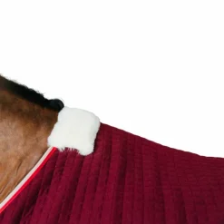 Kentucky Horsewear - Chemise séchante Protherm Bordeaux New