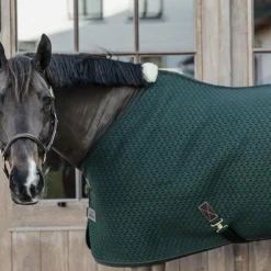 Best Kentucky Horsewear - Chemise séchante 4D spacer sapin Vert