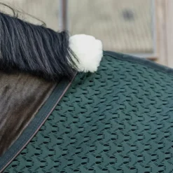 Best Kentucky Horsewear - Chemise séchante 4D spacer sapin Vert