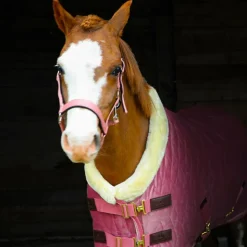 New Kentucky Horsewear - Couverture de présentation velvet vieux pour minis 160g Rose