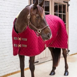 Kentucky Horsewear - Couverture de box 400g Bordeaux Outlet