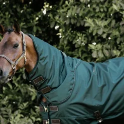 Kentucky Horsewear - Couure d'extérieur all weather imperméable 160g Vert Online