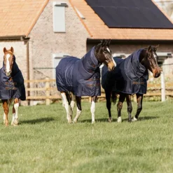 Kentucky Horsewear - Couverture d'extérieur Turnout all weather 150g Marine Best