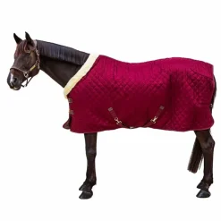 Kentucky Horsewear - Couverture de présentation 160g Bordeaux