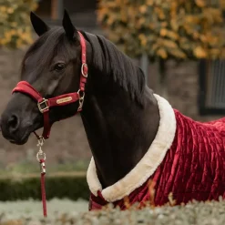 Kentucky Horsewear - Couverture de présentation velvet 160g Bordeaux Best