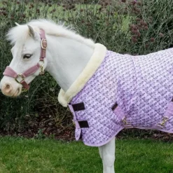 Online Kentucky Horsewear - Couverture de présentation Sammy Collection vieux 160g Rose