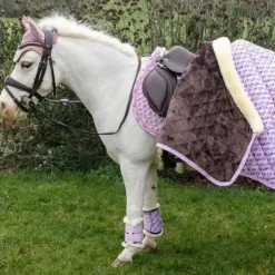 Online Kentucky Horsewear - Couverture de présentation Sammy Collection vieux 160g Rose