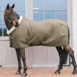 Kentucky Horsewear - Couure de présentation Show Rug kaki 160g Vert Online