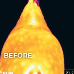 Kentucky Horsewear - Couverture Magnetic Recuptex pour Minis Marine Outlet