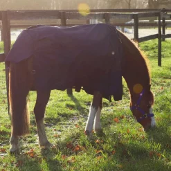 Online Kentucky Horsewear - Couverture d’extérieur pour minis 0g Marine