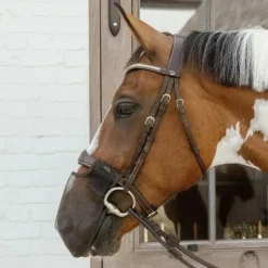 Kentucky Horsewear - Filet de nez anti-mouches Marron Best