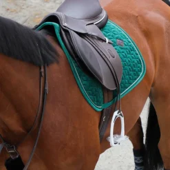 Discount Kentucky Horsewear - Fourreau de collier de chasse Noir