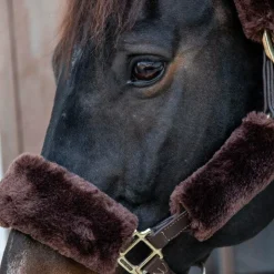 Clearance Kentucky Horsewear - Fourreaux de licol mouton 4 pcs Marron