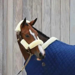 Kentucky Horsewear - Fourreaux de licol mouton blanc 4 pcs Ecru Clearance