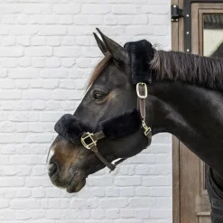 Kentucky Horsewear - Fourreaux de licol mouton 4 pcs Noir Outlet