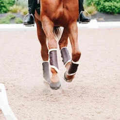 Clearance Kentucky Horsewear - Guêtres cheval Turn Out cuir postérieurs x2 Marron