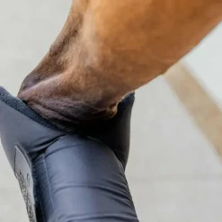Kentucky Horsewear - Guêtres d'écurie longues Protect antérieurs (x2) Noir